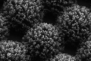 吉林吉林蔡司显微镜